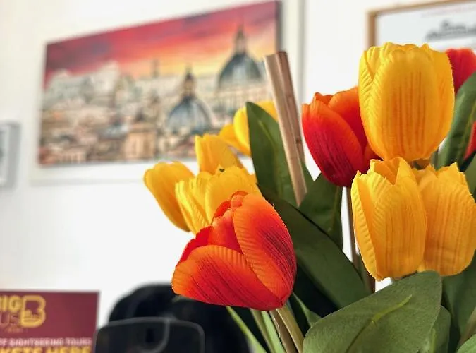 Konukevi Il Tempio Della Capitale Roma